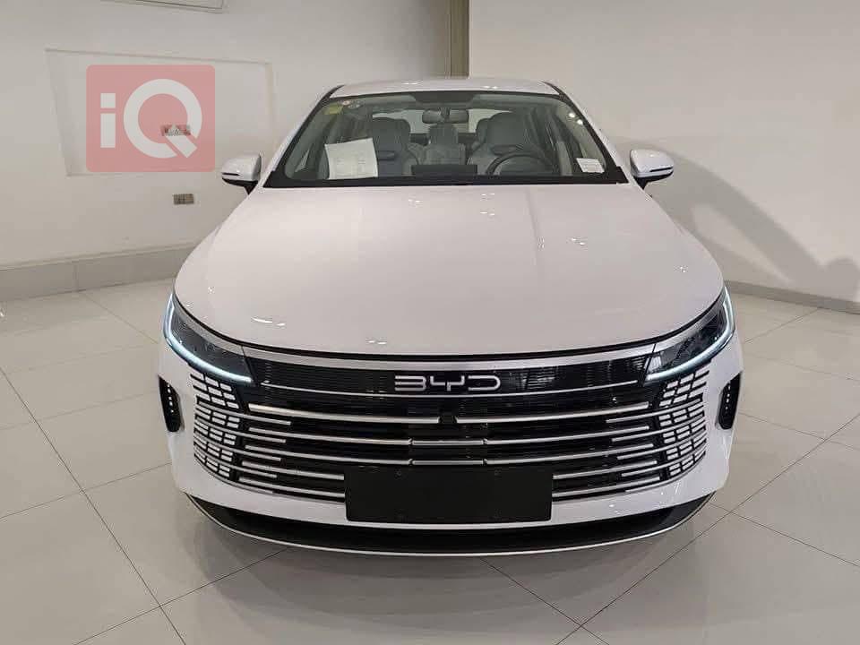 بی وای دی دیسترۆیەر 05